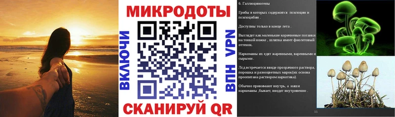 магазин  наркотиков  Холм  Псилоцибиновые грибы Cubensis 