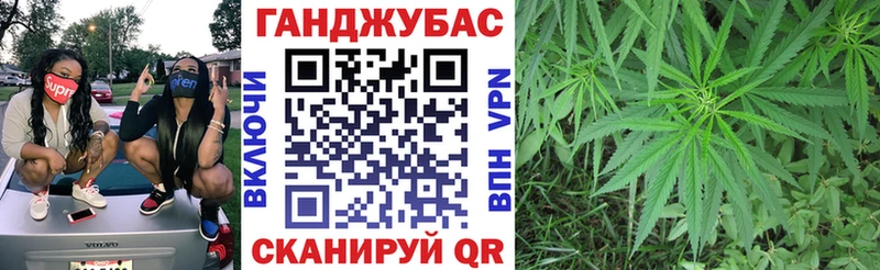 Канабис сатива  Холм 